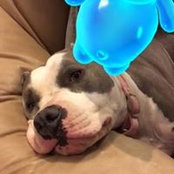 Shea Marchuk's photo