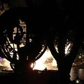 Andrew Appold's photo