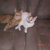 Donna Macleod's photo