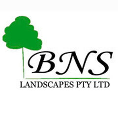 BNS Landscapes