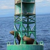 Photo de Kristin Simanek