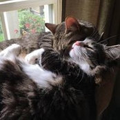 Renee Thompson's photo