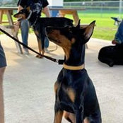 Betsy Bevacqua's photo