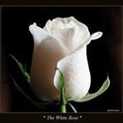 Freesia Rose's photo