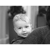 Elizabeth Rosenberg's photo