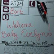 Lauren Stiener Avery's photo