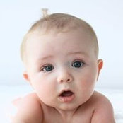 Shea Harmer's photo