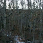 Gretchen Dessaules's photo