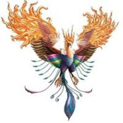 Marvelous Phoenixs billede