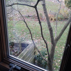 Foggy Window Glass Replacement - Products