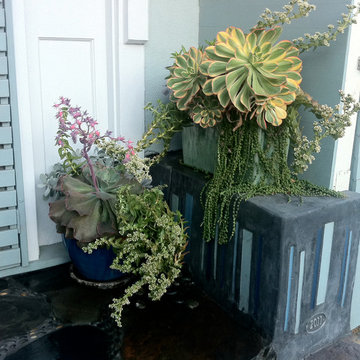 Marina Del Rey Jewelbox