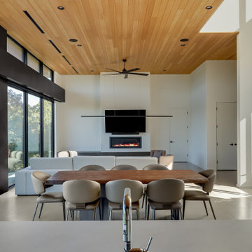 Lago Vista Modern