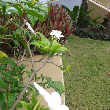 Sweet and simple front of the house