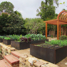 Organic Gardening