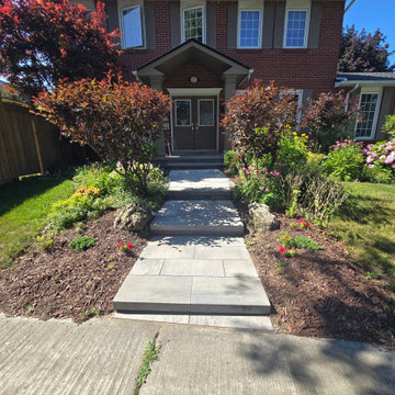 North York Project