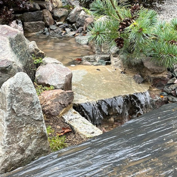 Japanese Stream