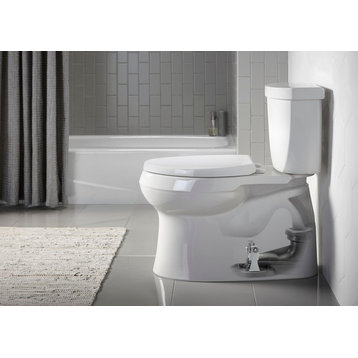 Kohler Reveal Quiet-Close w/ Grip-Tight Bumpers Elongated Toilet Seat, Ice Grey