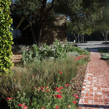 California Native Garden Path