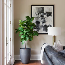 Living Room Ideas