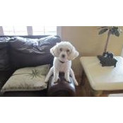 Vikki Gaul's photo