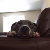 Michelle Silvano's photo