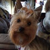 Kerryand Dixon's photo
