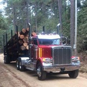 Greg Lasiter's photo