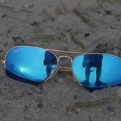 July Lees foto