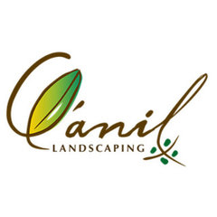Q'anil Landscaping LLC