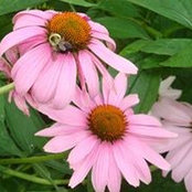 Barbara Konsker's photo