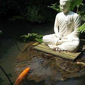 Vi Nguyen Vi Nguyen's photo