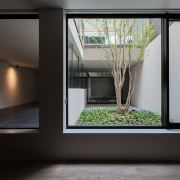 Snk-house