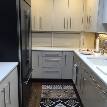Luxury Condo Kitchen Variations
