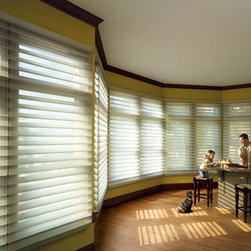 Hunter Douglas Silhouettes - Window Treatments