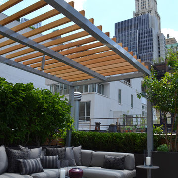 Financial District Penthouse