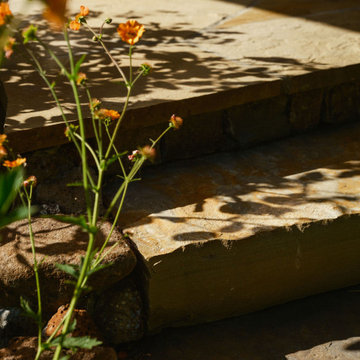 Glorious Oakland Garden