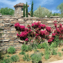 Exterior wall