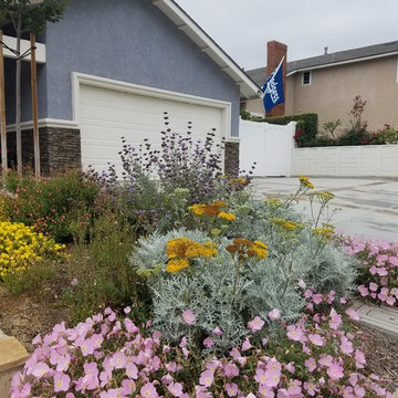 Mission Viejo Front Yard