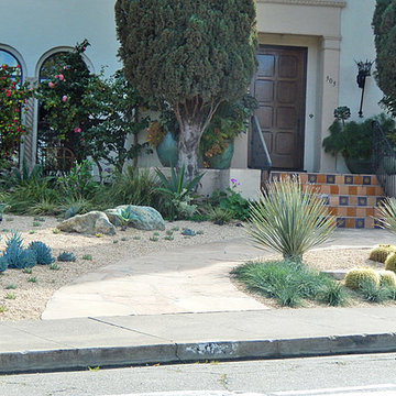 A Lawn to Xeriscape Garden Conversion
