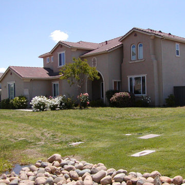 Silver Springs NATIVE