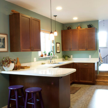 Berkeley Kitchen Remodel