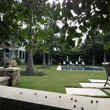 Pool & Jacuzzi