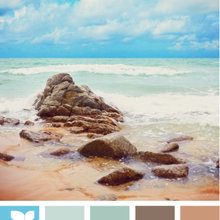 Colors