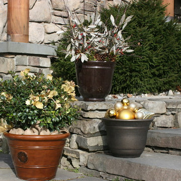 Special Event and Holiday Decoration