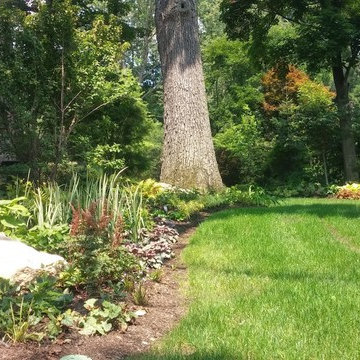 Our Work
