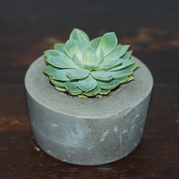 Handmade Concrete Planters - Home Decor
