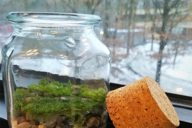 Fragrant Moss as Natural Air Freshener in a Hexagonal jar