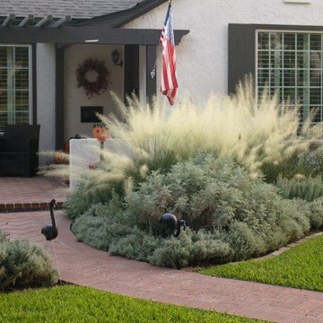 Soft Tuscan Low-Water Ornamental Grass Landscaping
