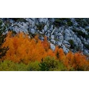 Craig Bortman's photo