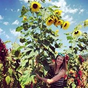Samantha Scholtz's photo